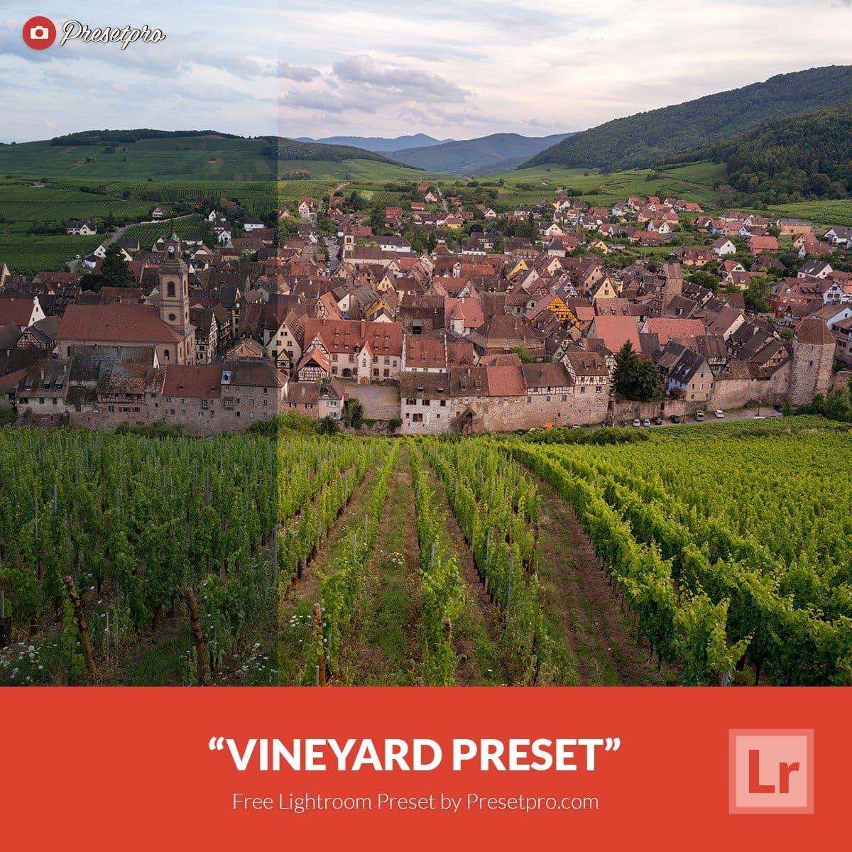 Free-Lightroom-Preset-Vineyard-Presetpro.com