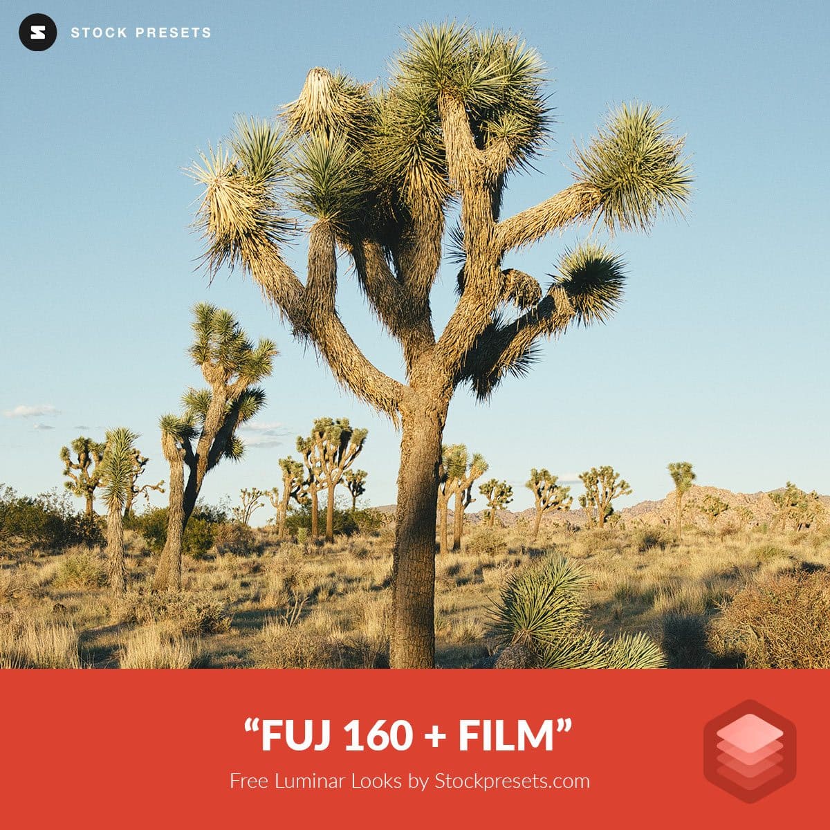 Free-Luminar-Look-FUJ-160-film-Preset-Stockpresets