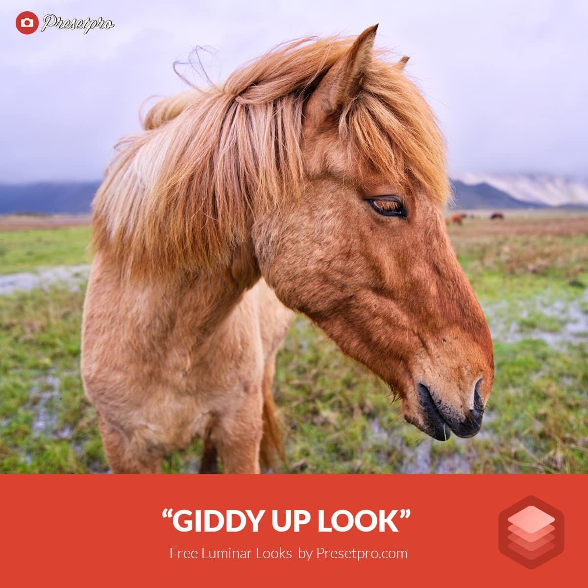 Free-Luminar-Look-Giddy-Up-Preset-Presetpro.com-