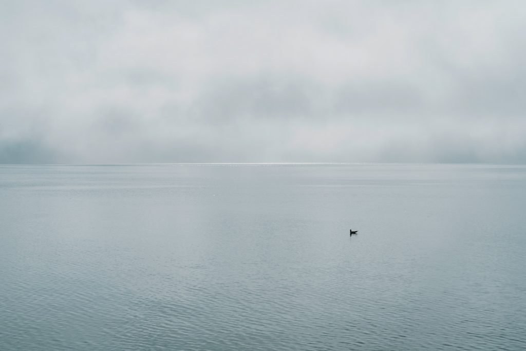 Landscape-Photography-Silver-Horizon-Presetpro.com