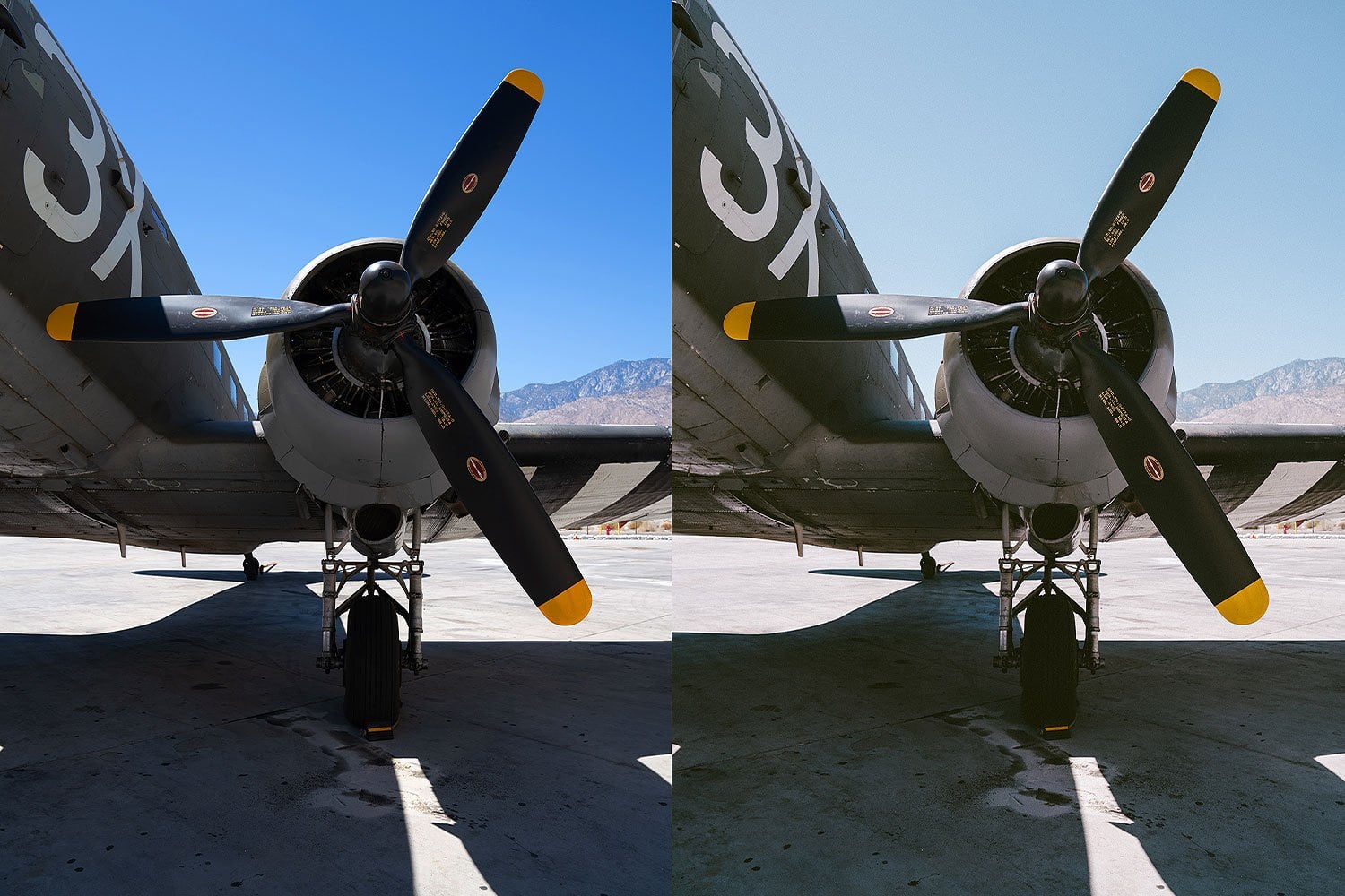 Beautiful-Lightroom-Presets-and-Profiles-Palm-Springs-War-Bird-Before-and-After-Presetpro.com