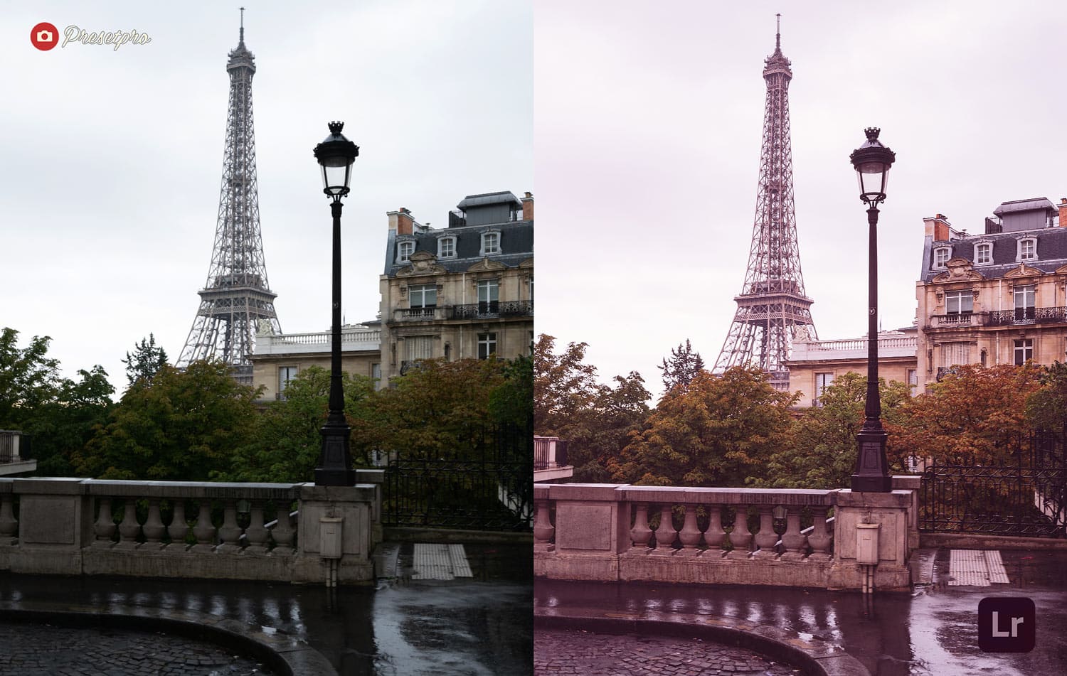 Free-Lightroom-Preset-Parisian-Pink-Before-and-After-Presetpro.com