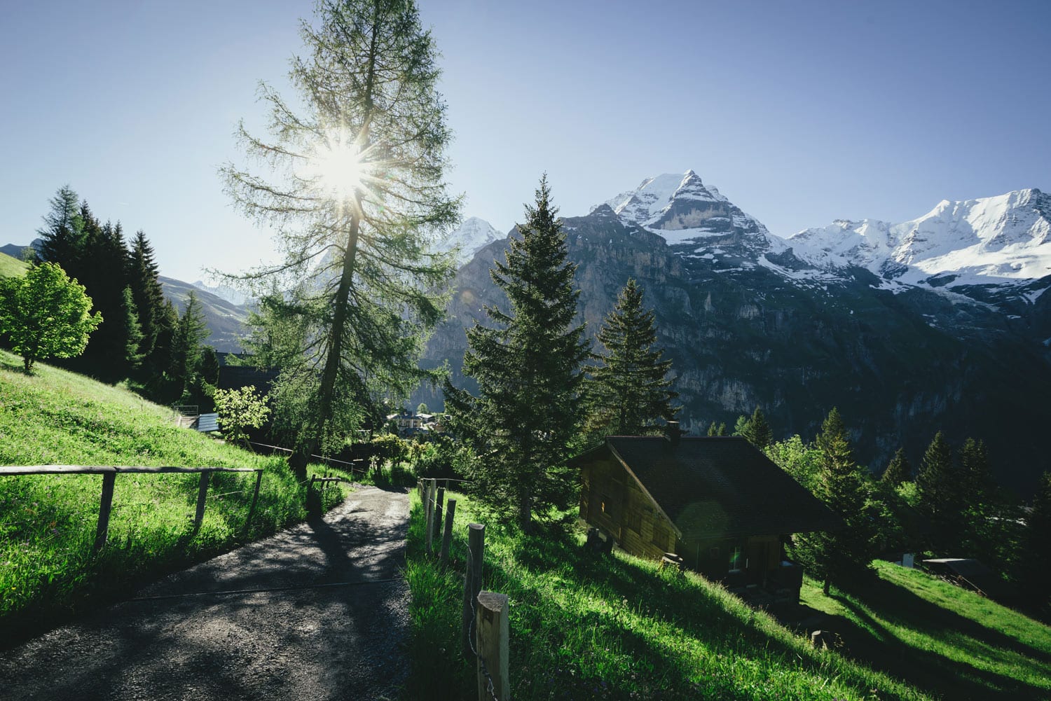 Lightroom Film Emulation Presets