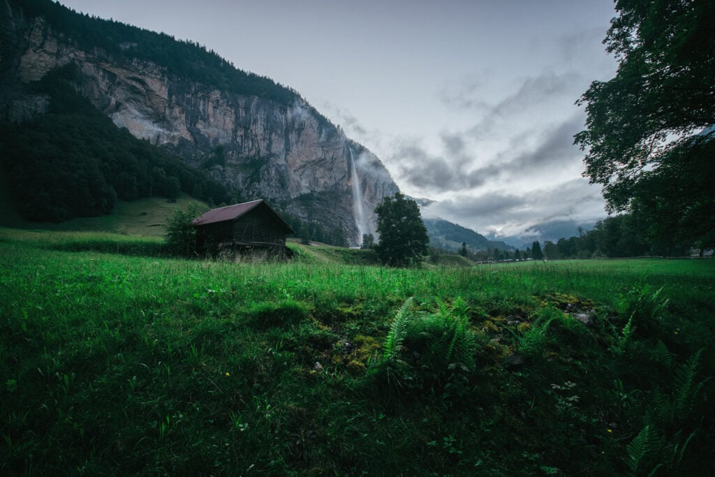 Misty Morning in Switzerland