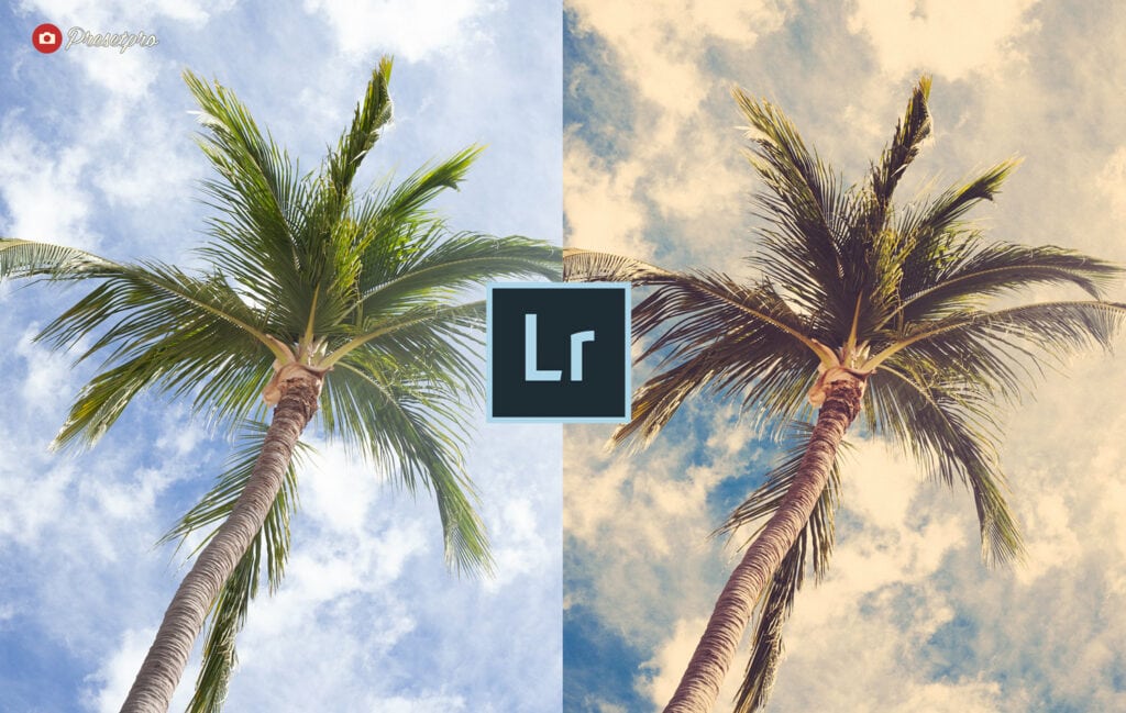 Free-Lightroom-Preset-Island-Breeze-Before-After-Presetpro