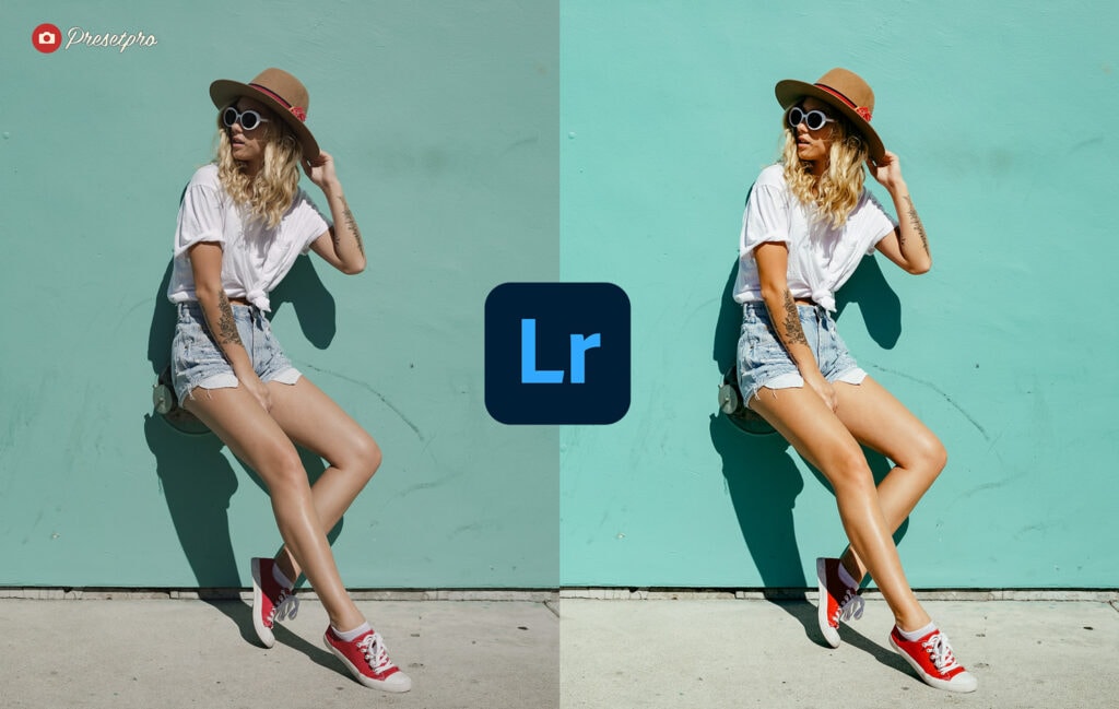 Free-Lightroom-Preset-Profile-Reversal-Film-Cover-Presetpro