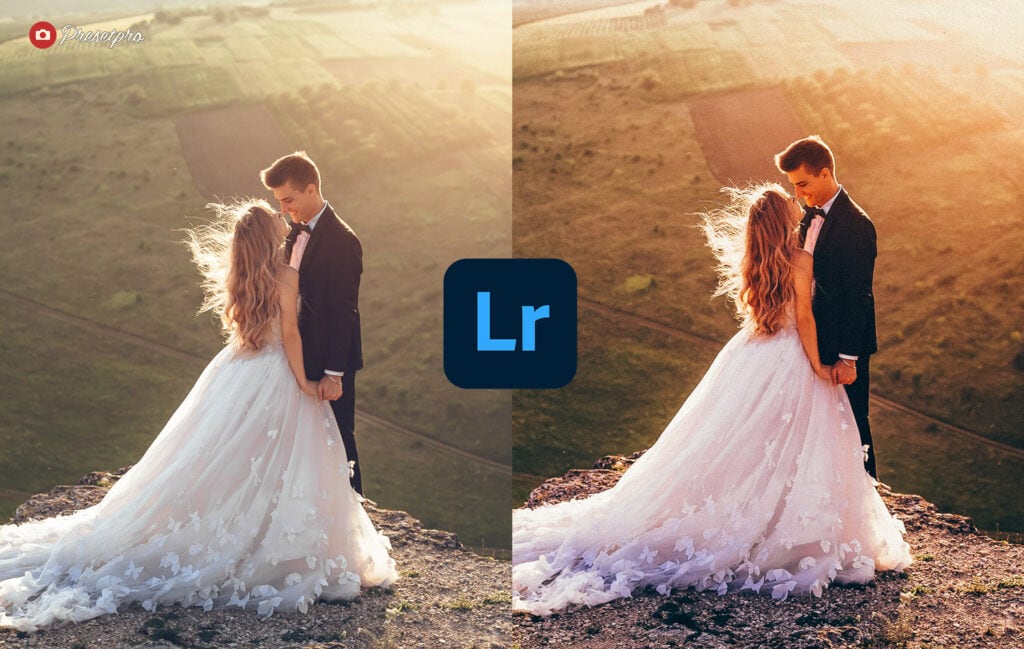 Free Lightroom Preset Golden Before and After Presetpro.com