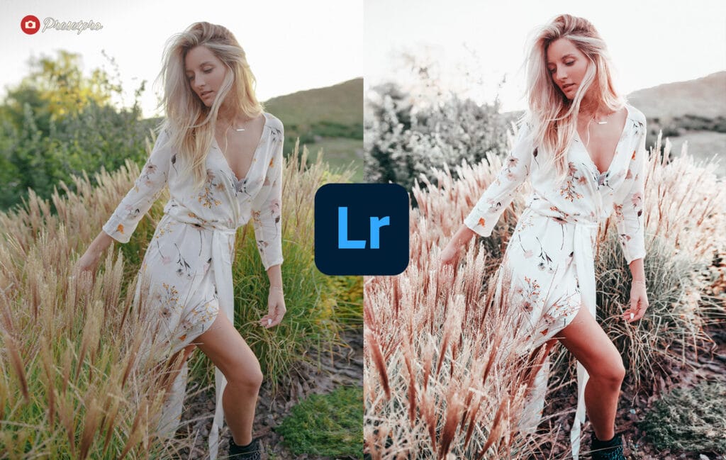 Free-Lightroom-Preset-and-Profile-Moody-Aqua-Before-After-Presetpro