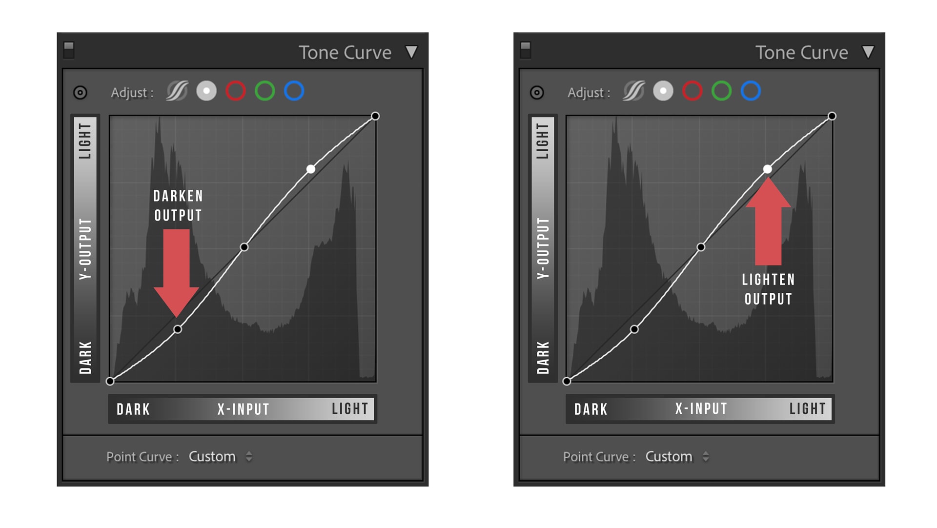 How to Master Tone Curves in Lightroom - The Point Curve Input and Output