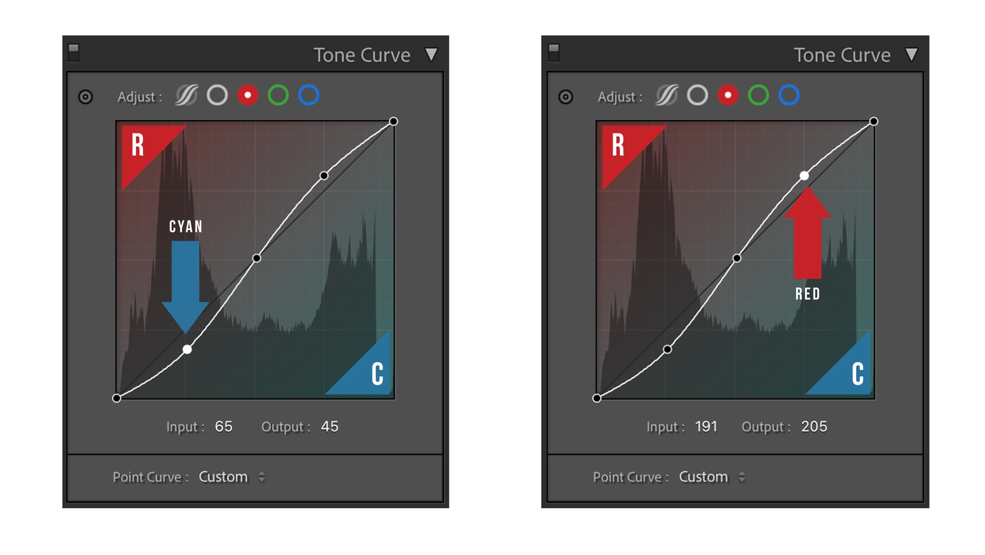 How to Master Tone Curves in Lightroom - The Point Curve RGB R E