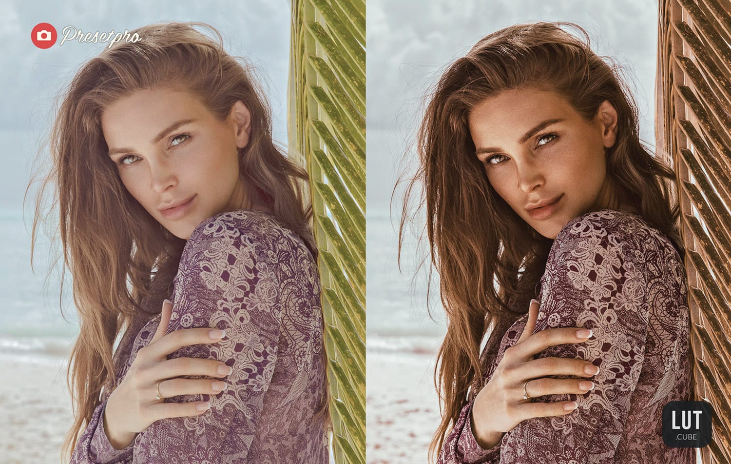 The Best Free LUTs Lookup Tables for Color Grading in 2022 - Copper
