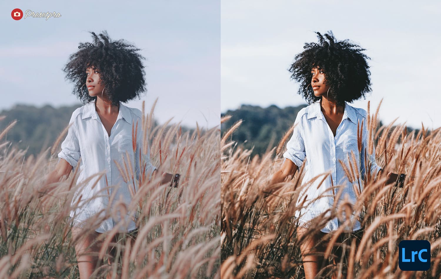 The Best Free Lightroom Presets for Photographers in 2022 Boho Film