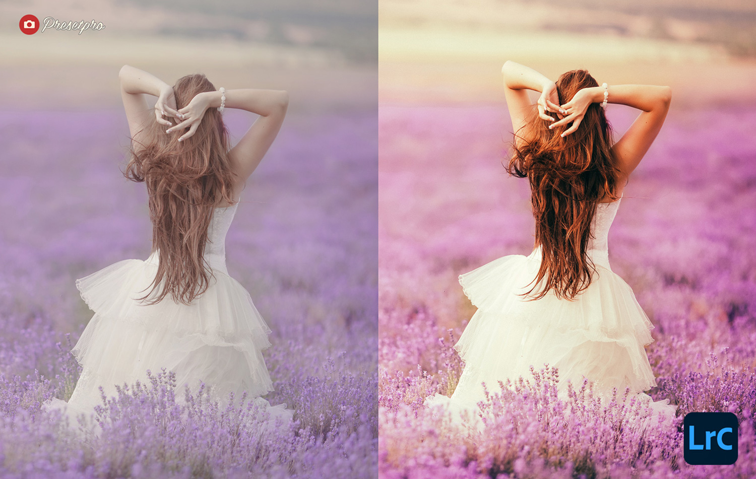 The Best Free Lightroom Presets for Photographers in 2022 Lavender