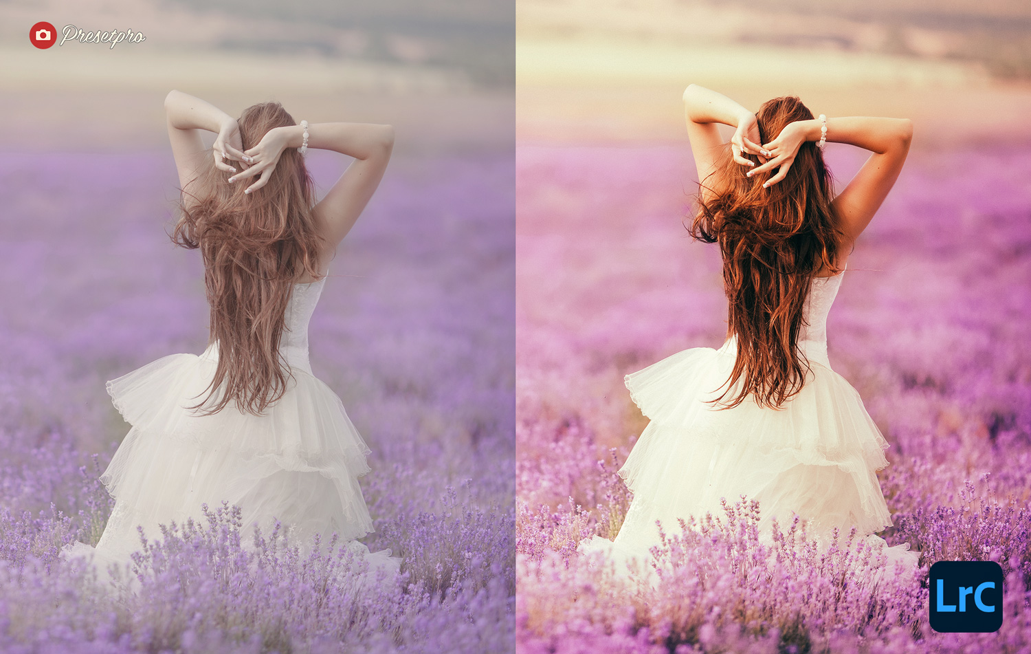 The Ultimate FREE Lightroom Preset Collection Lavender