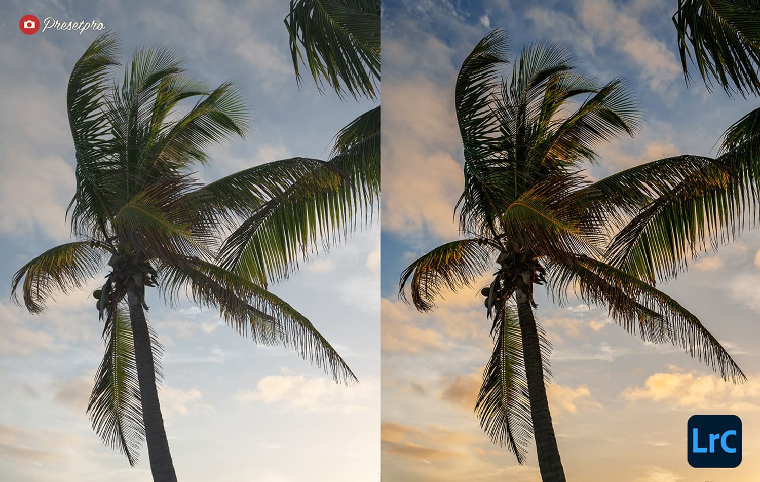 The Ultimate FREE Lightroom Preset Collection Sunbathe