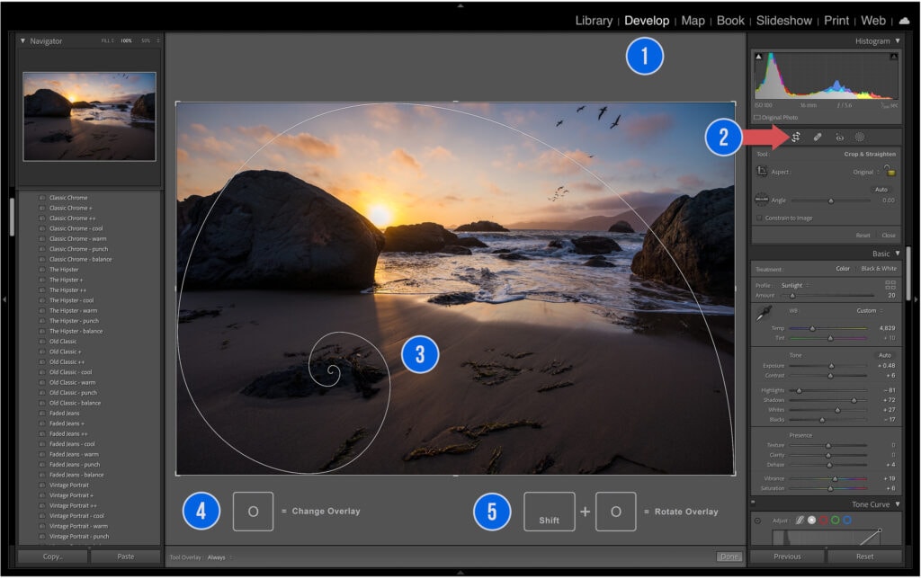 How to Change the Crop Overlay in Lightroom