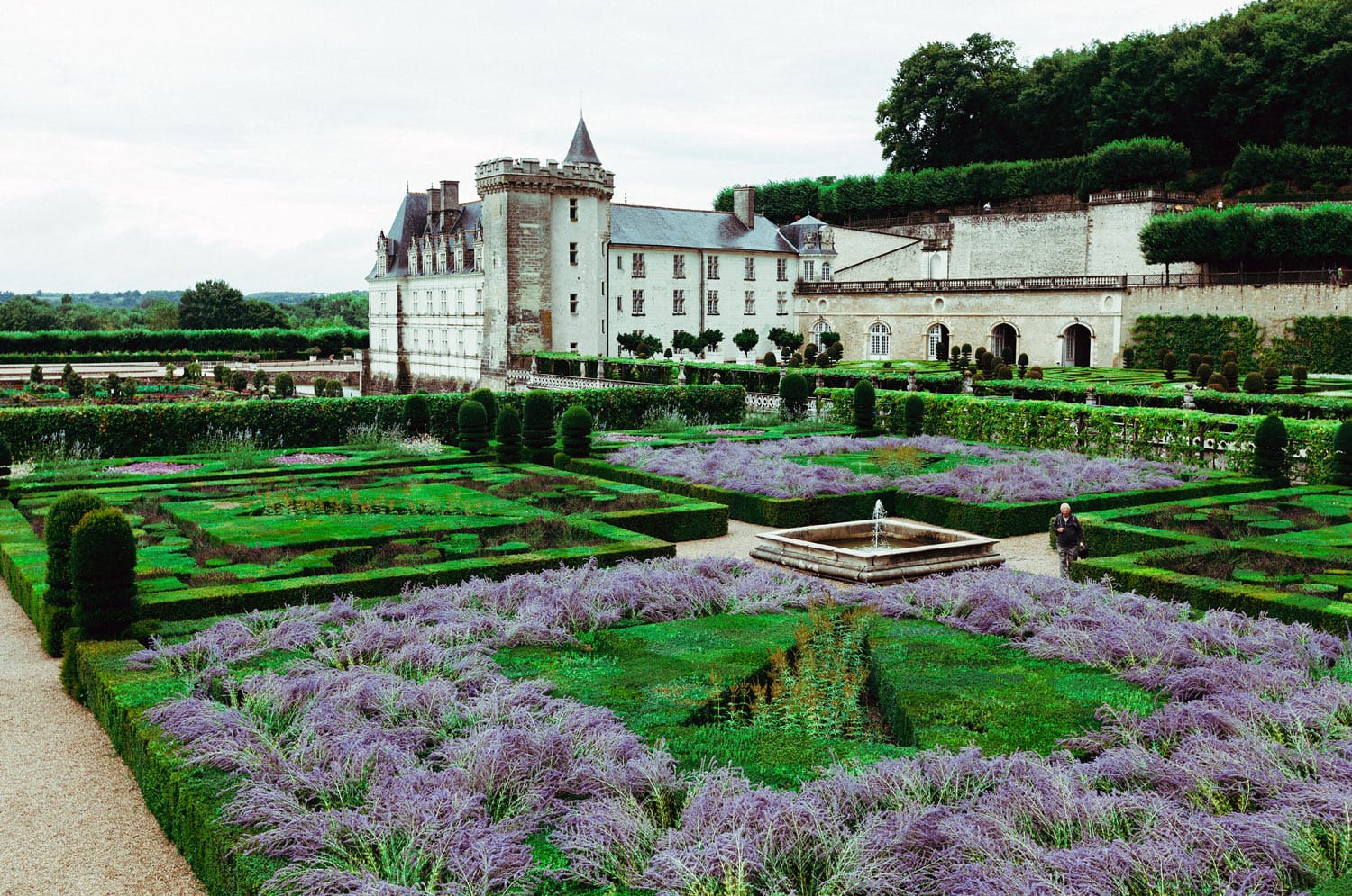 Chateau de Villandry in France Lavender