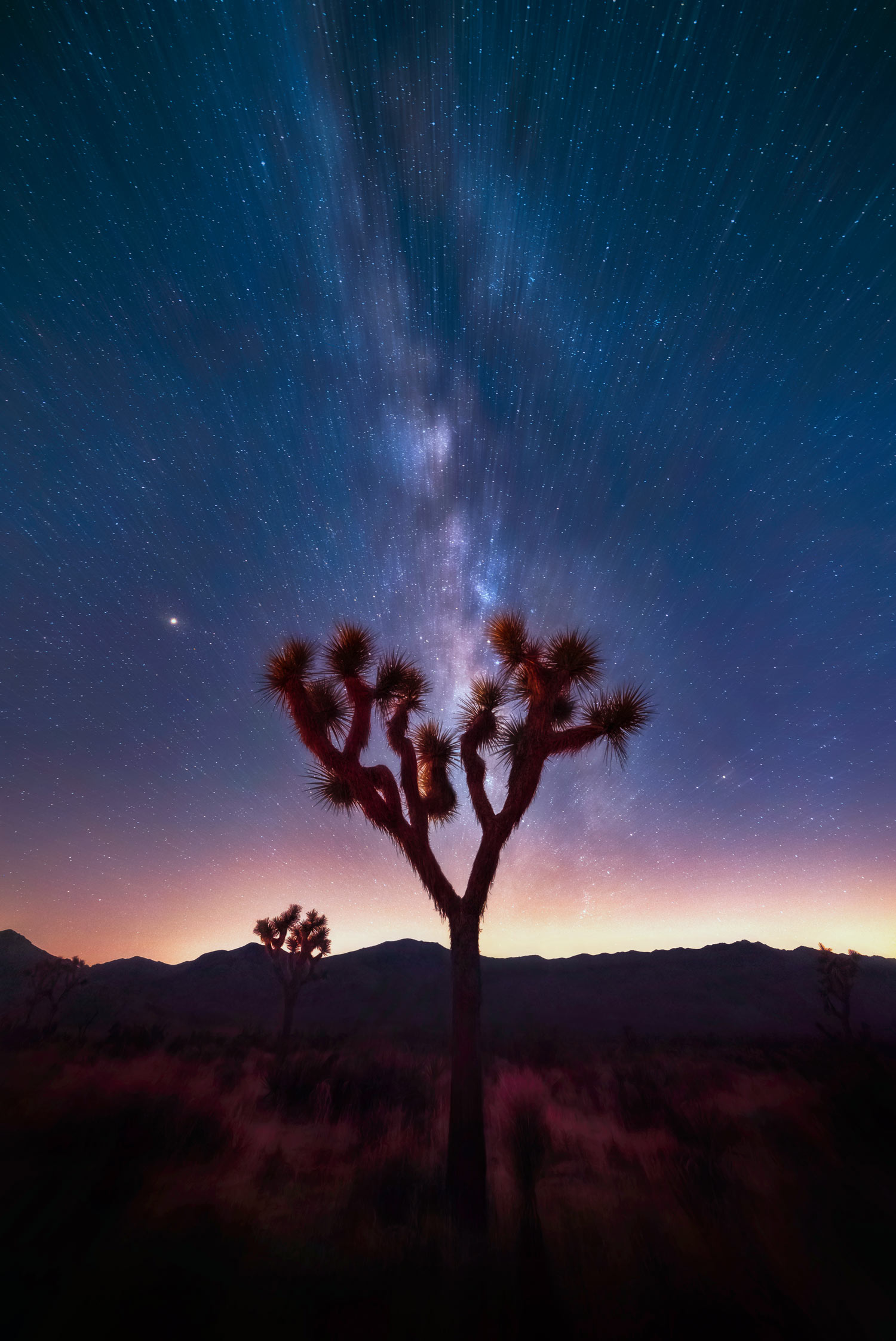 Astro Photography in Joshua Tree National Park