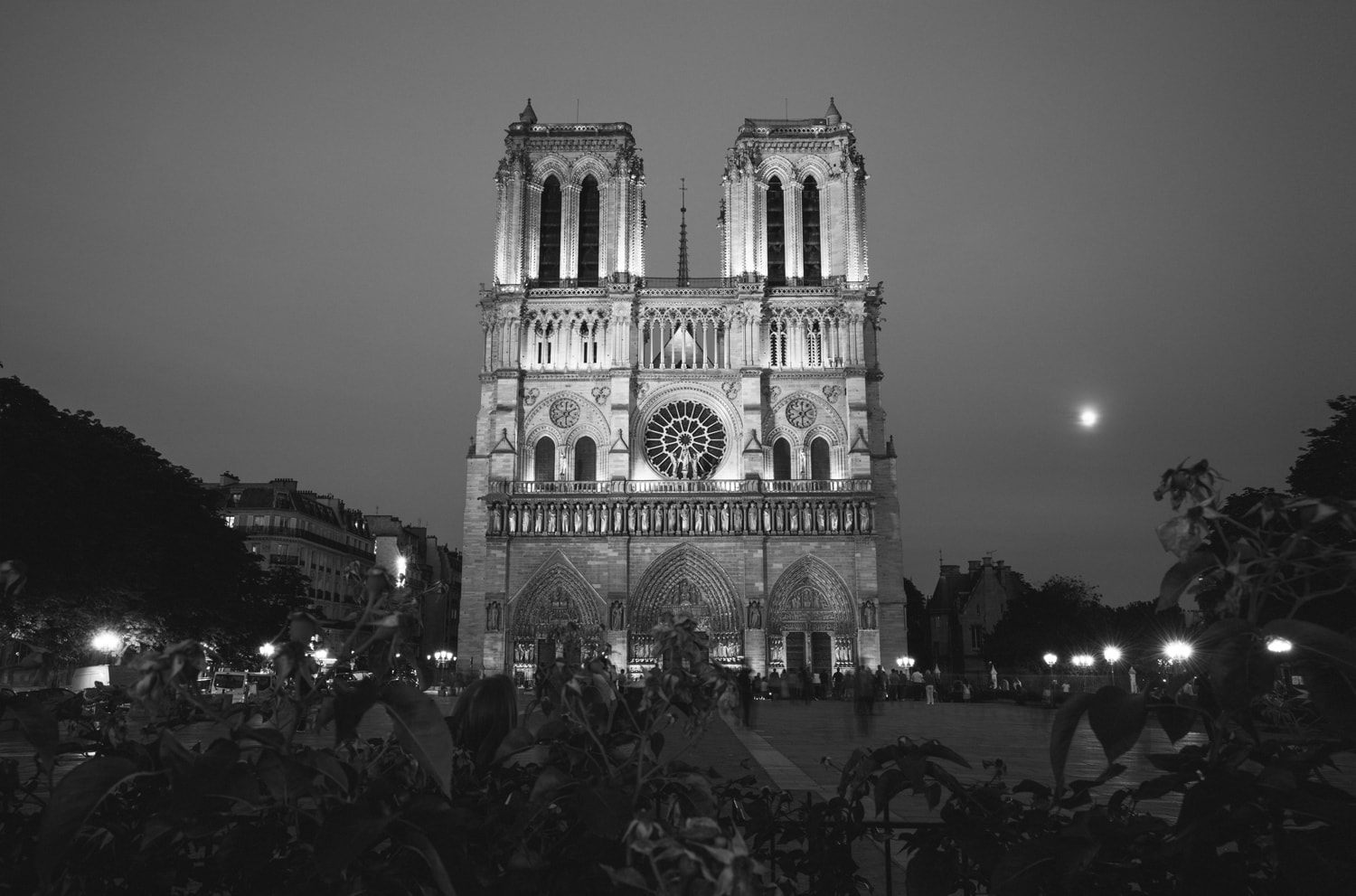 Cathedrale Notre Dame Presetpro.com