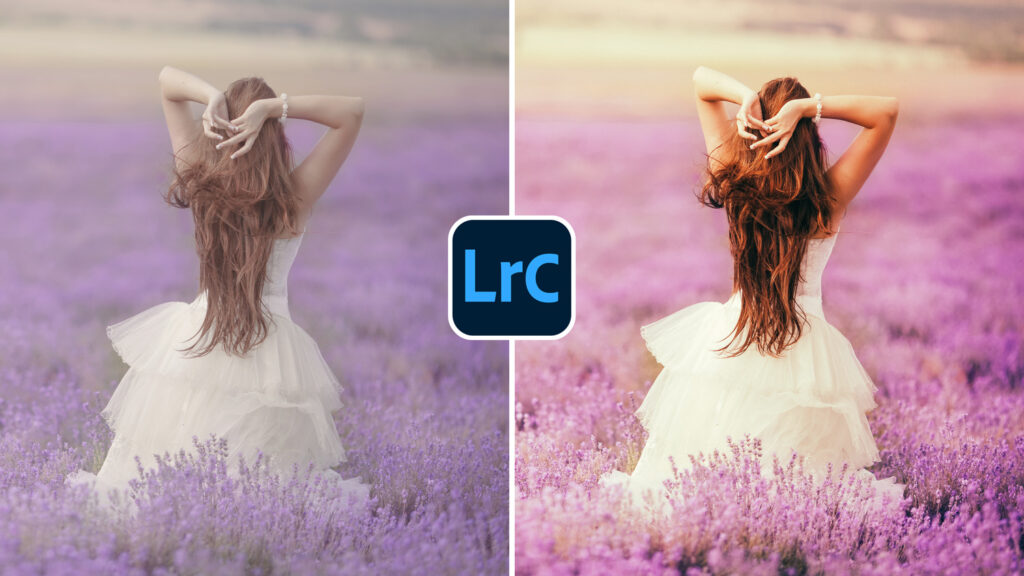 Free Lightroom Preset Lavender Video Presetpro.com