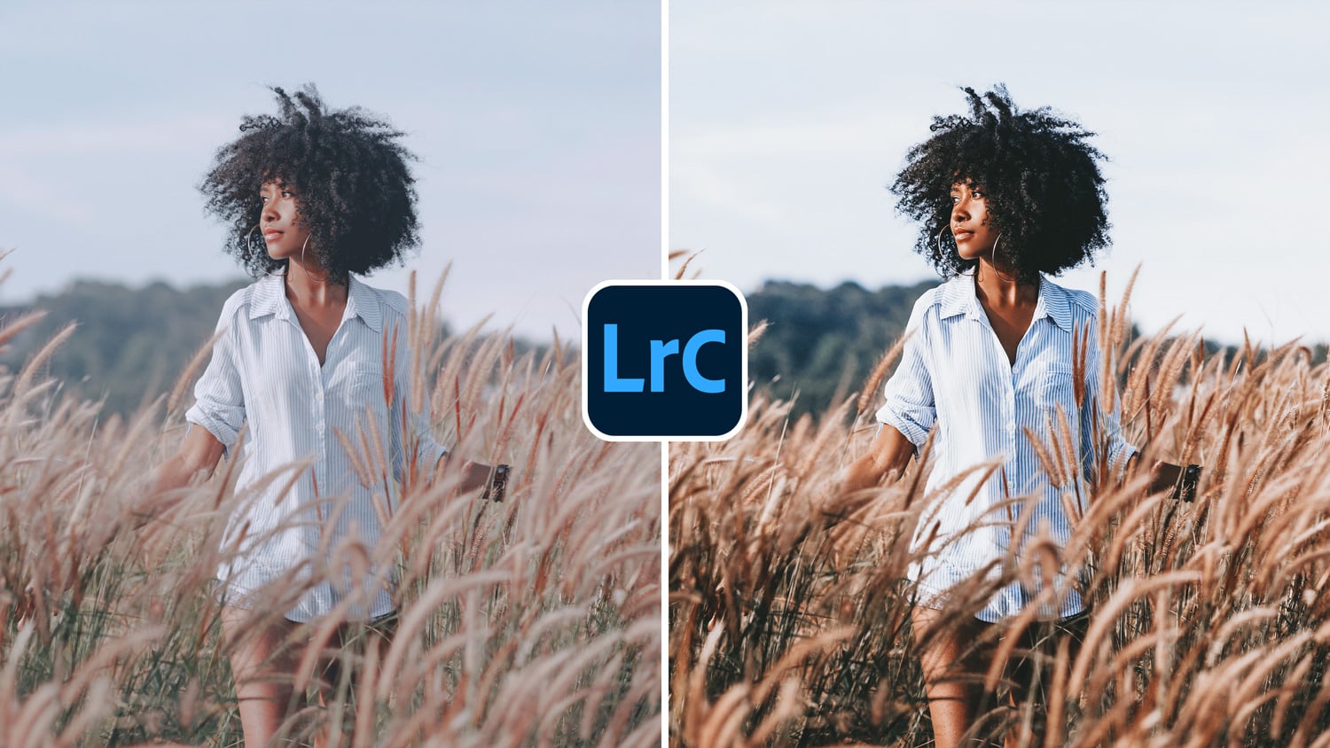 Free Lightroom Preset Boho Film Cover Presetpro.com