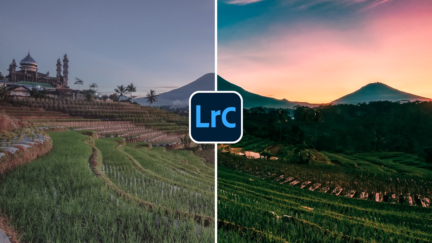 Free Lightroom Preset "Jungle Sunset"
