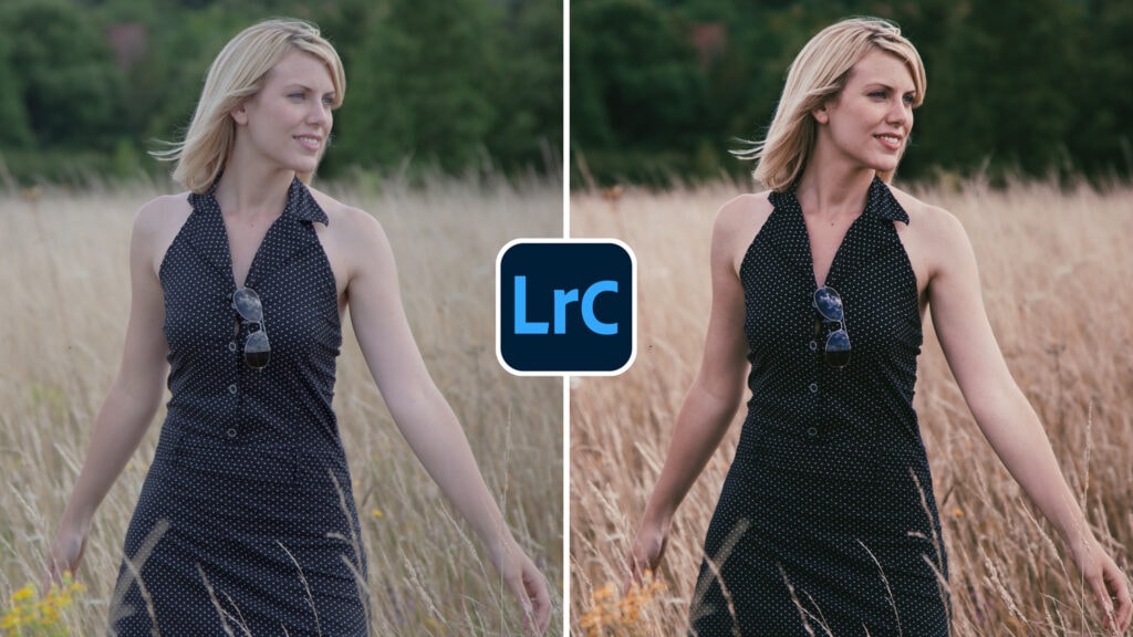 Free Lightroom Preset Filterlook Video Presetpro.com