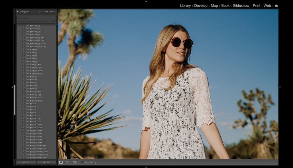 Bringing Back the Magic of Kodachrome