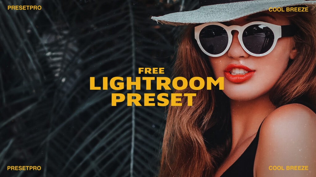 Free Lightroom Preset Cool Breeze Video Presetpro.com