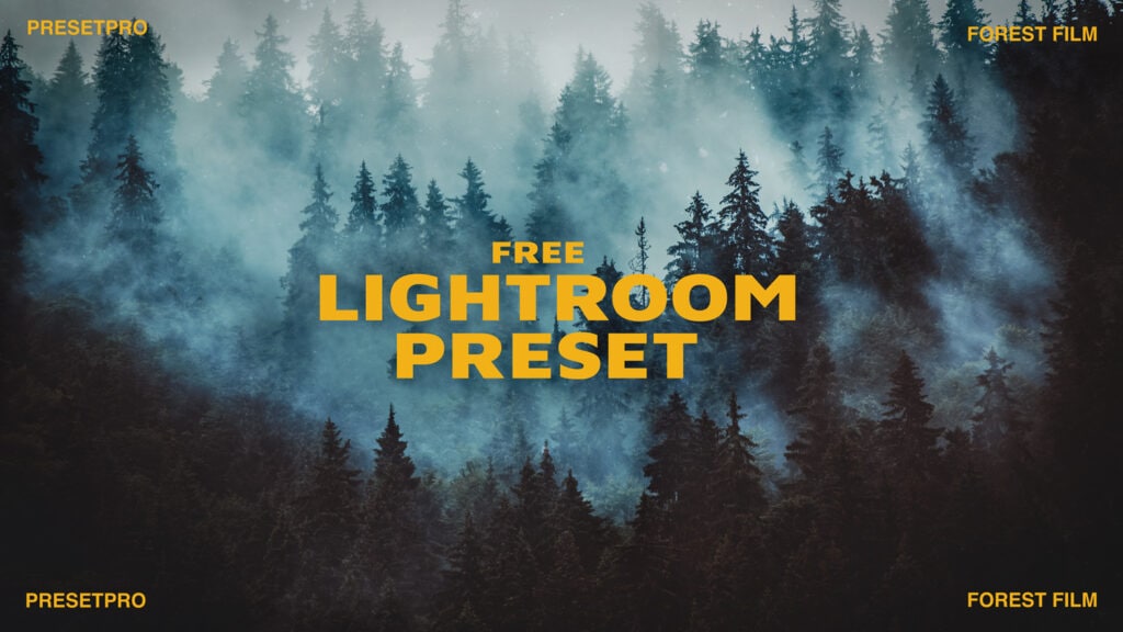 Free Lightroom Preset Forest Film Video Presetpro.com