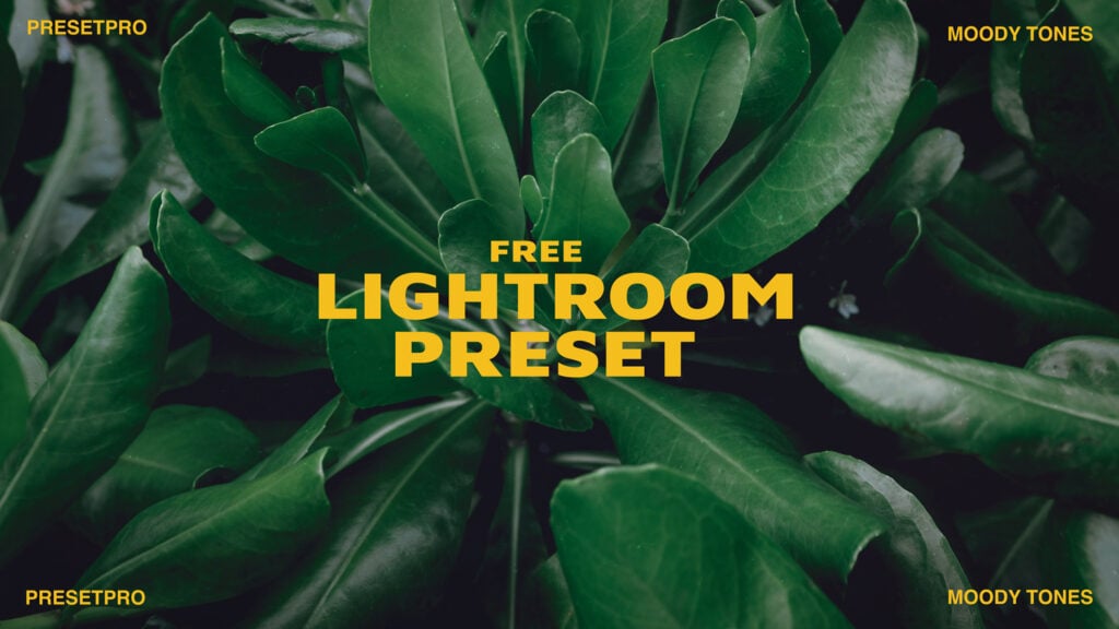 Free Lightroom Preset Moody Tones Video Presetpro.com