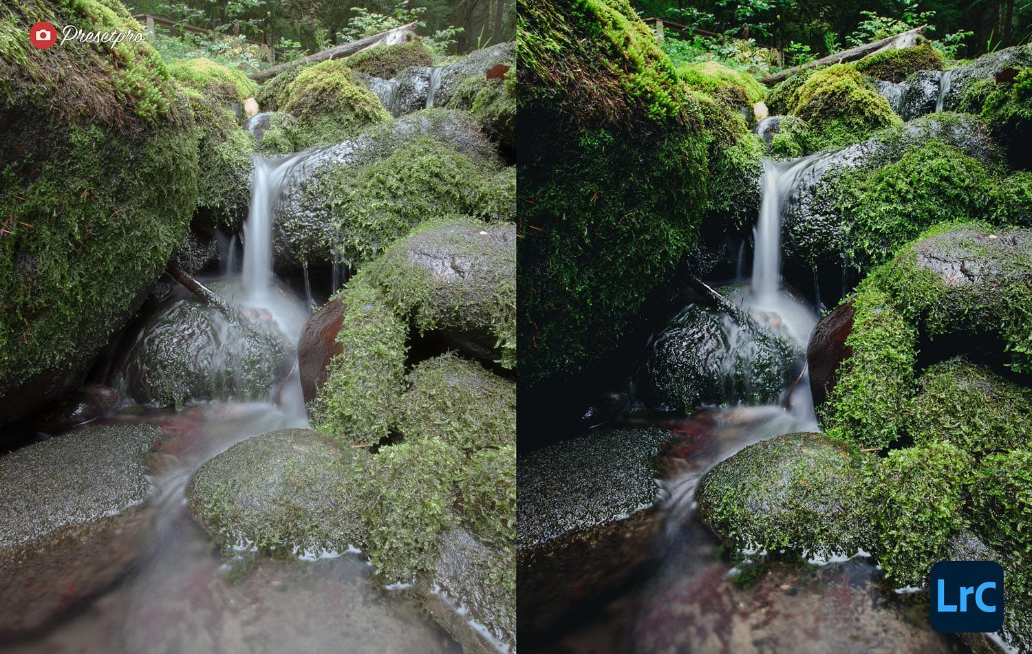 Free Lightroom Preset Woodland Before and After Presetpro.com