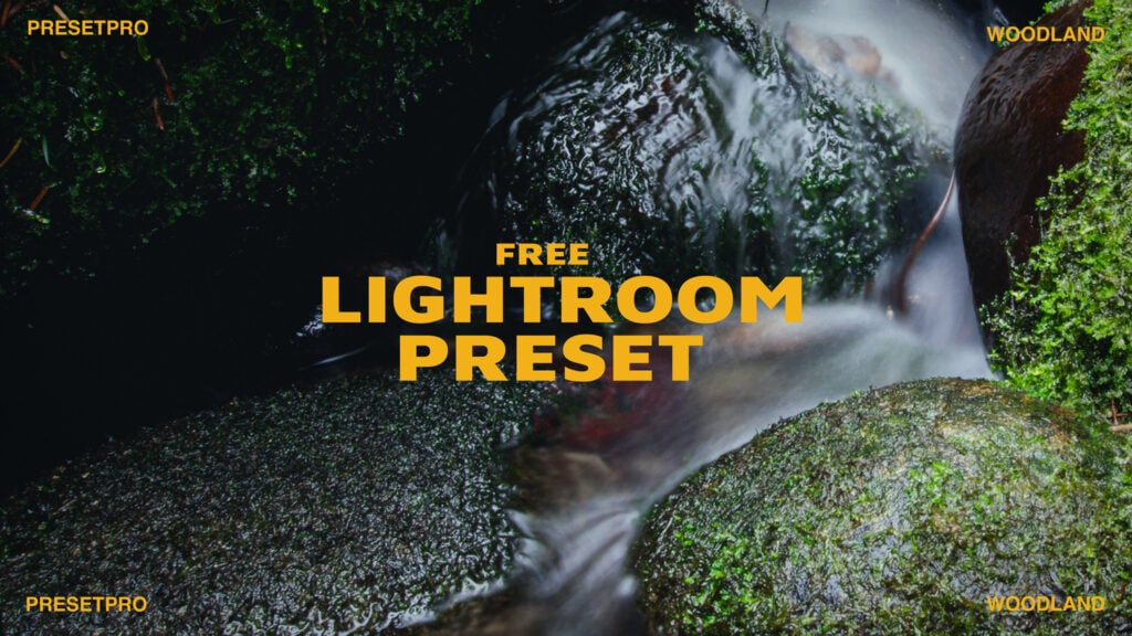 Free Lightroom Preset Woodland Video Presetpro.com