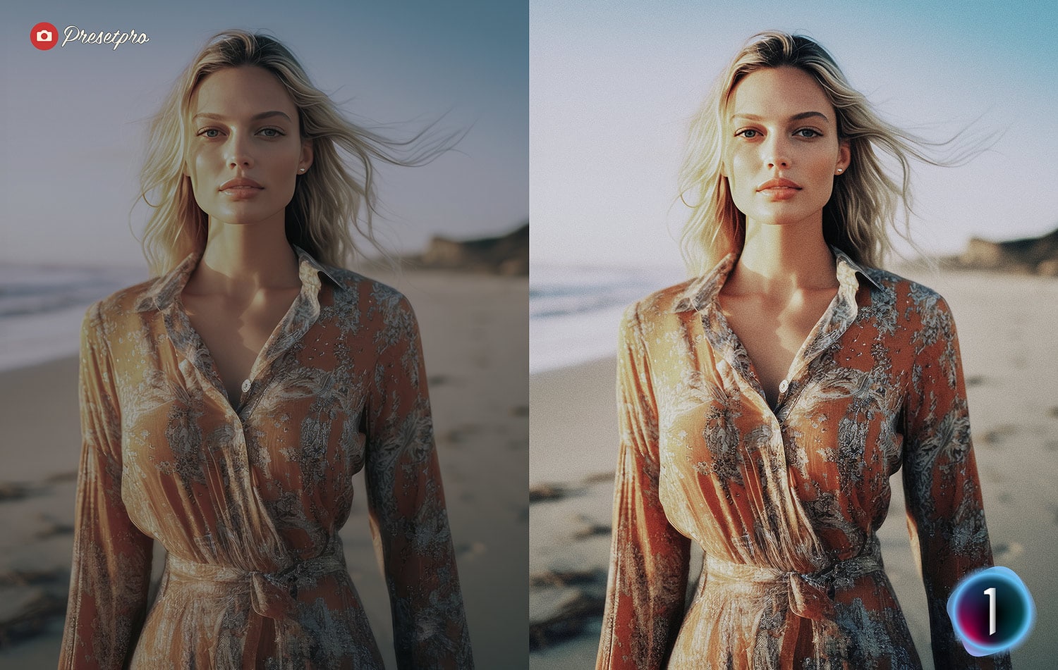 Free Capture One Style Portra 800 Before and After Presetpro.com