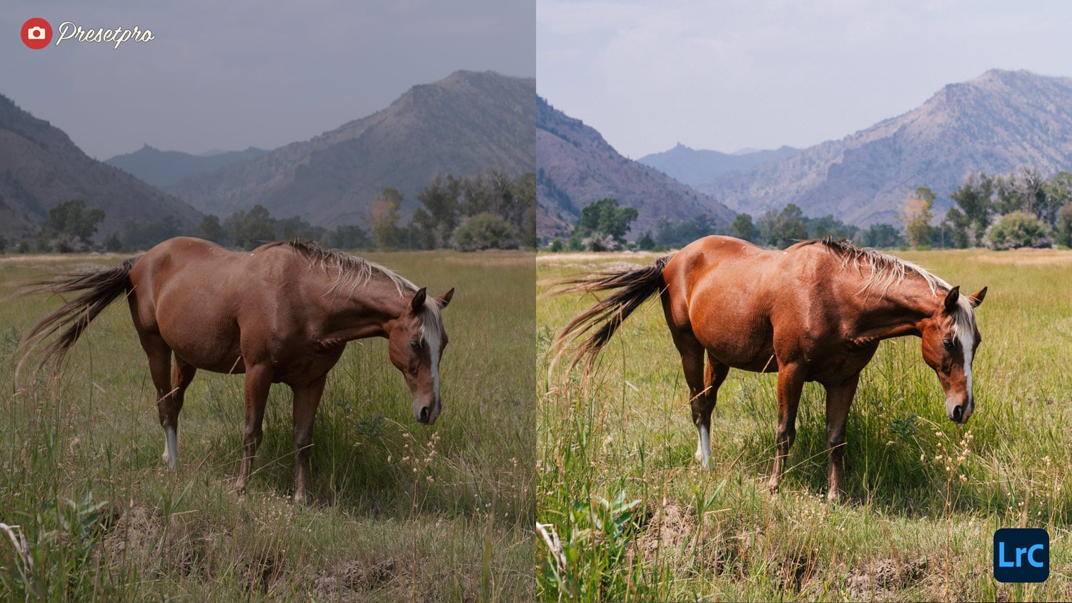 Free Lightroom Preset Retro Look Before and After Presetpro.com