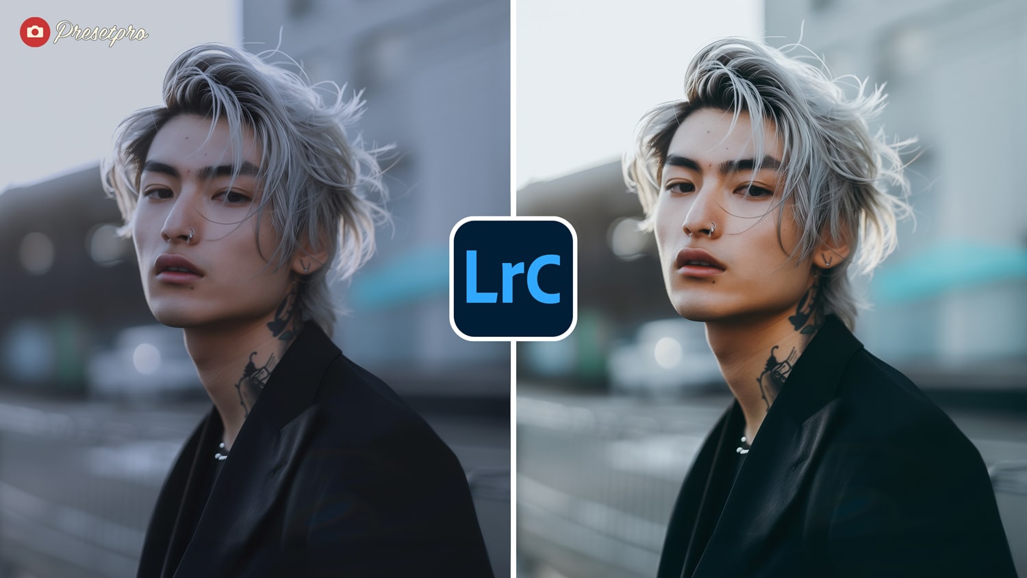 Free Lightroom Preset Color Reversal Before After Presetpro.com