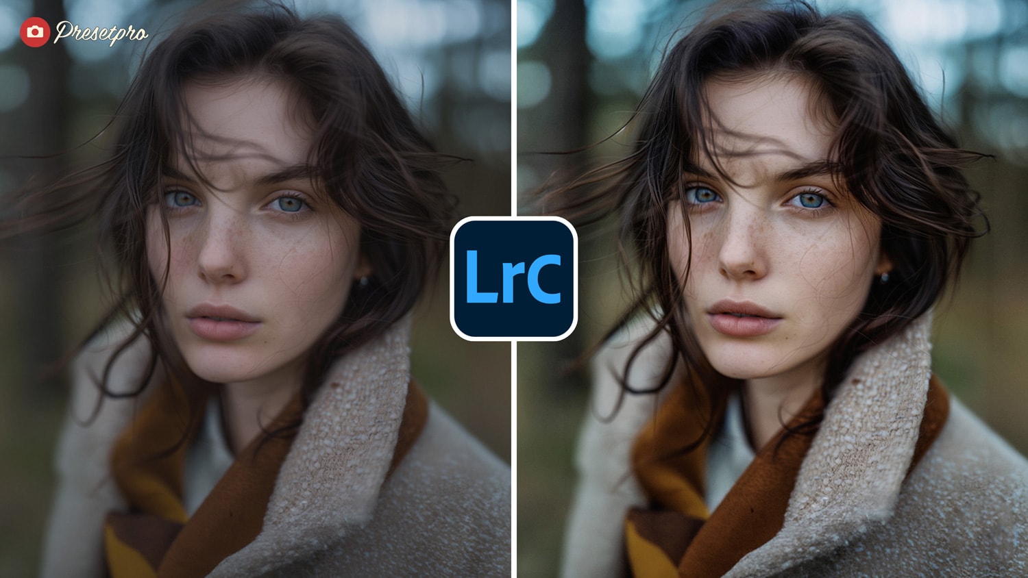 Free Lightroom Preset Classic Chrome Before After Presetpro.com