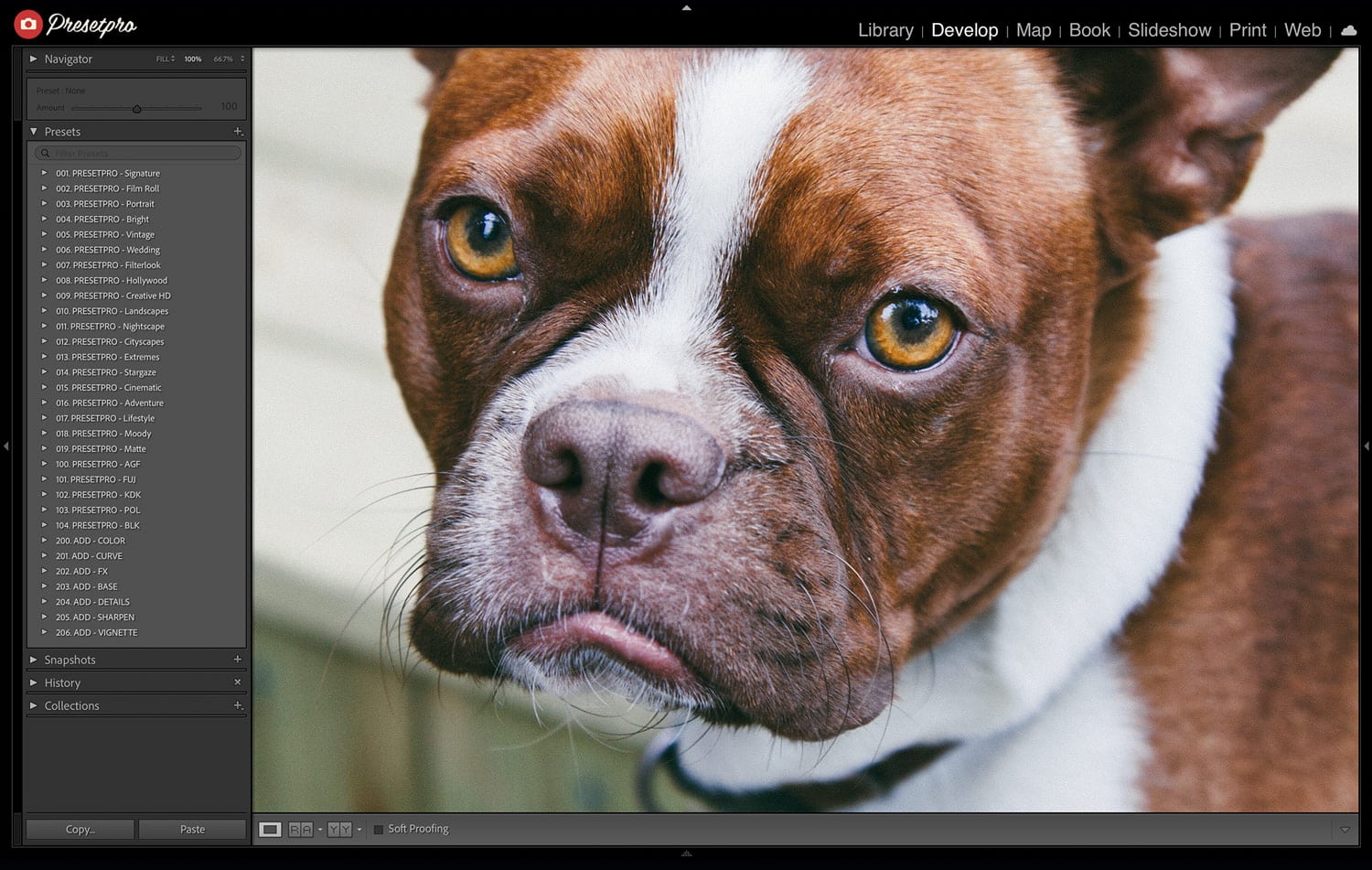 Featured Lightroom Preset - Fuji Superia 400 Film Emulation Video