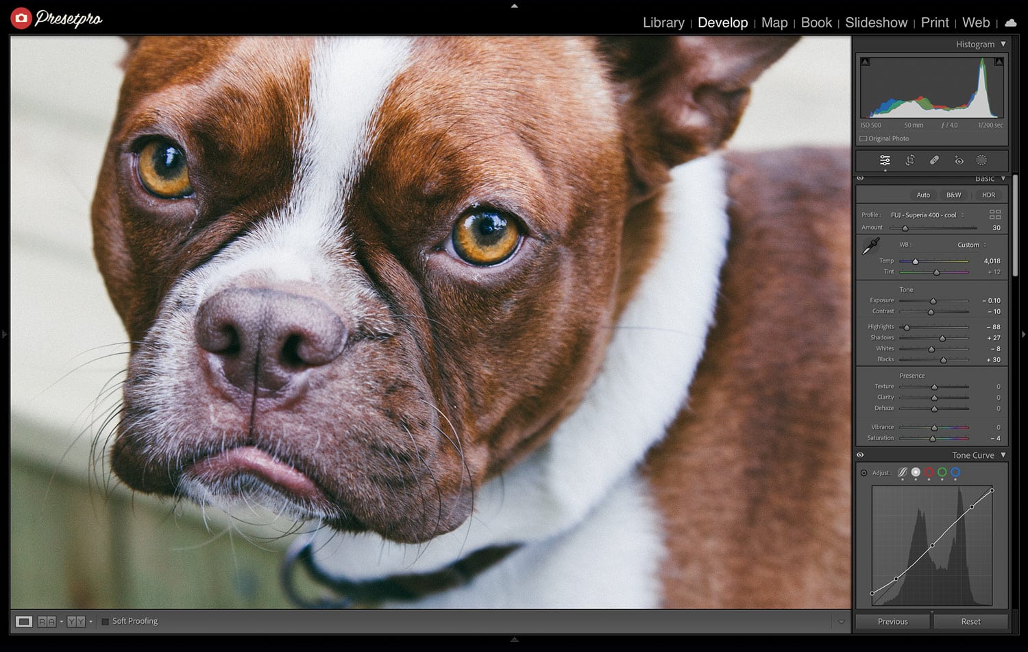Featured Lightroom Preset - Fuji Superia 400 Film Emulation Profile