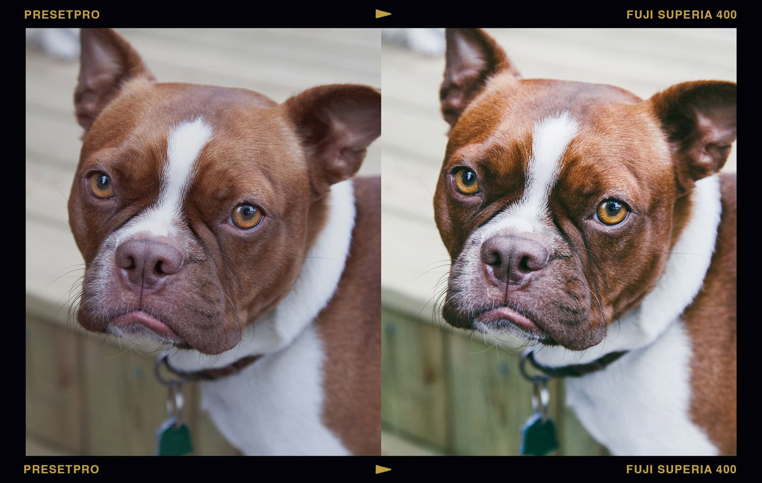 Featured Lightroom Preset - Fuji Superia 400 Film Emulation