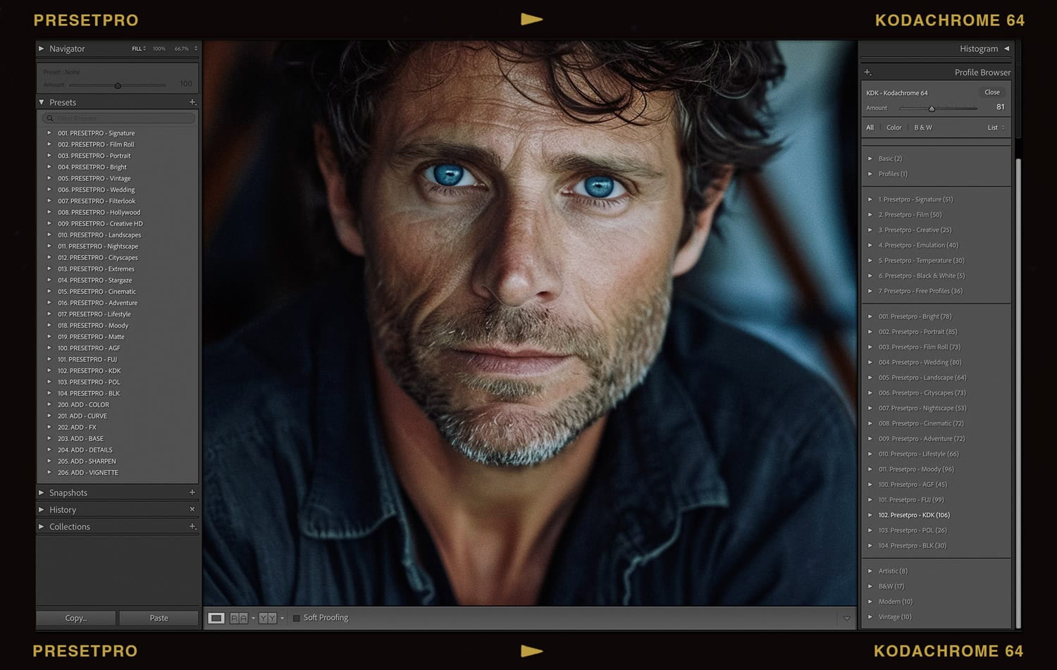 Lightroom Preset Kodachrome 64 Film Emulation in Lightroom Portrait of Man