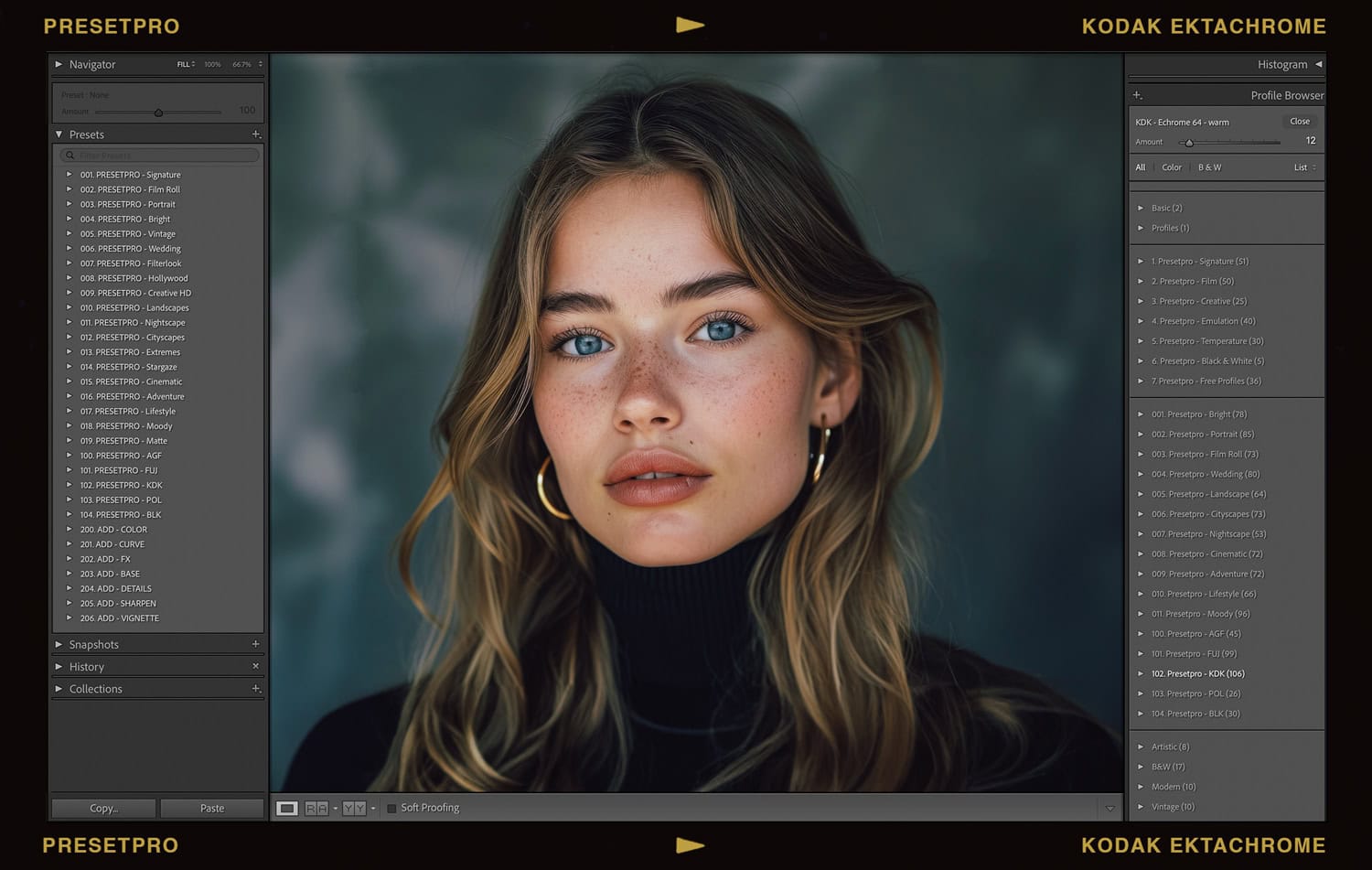 Studio Portrait of Woman with the Kodak Ektachrome preset in Lightroom.
