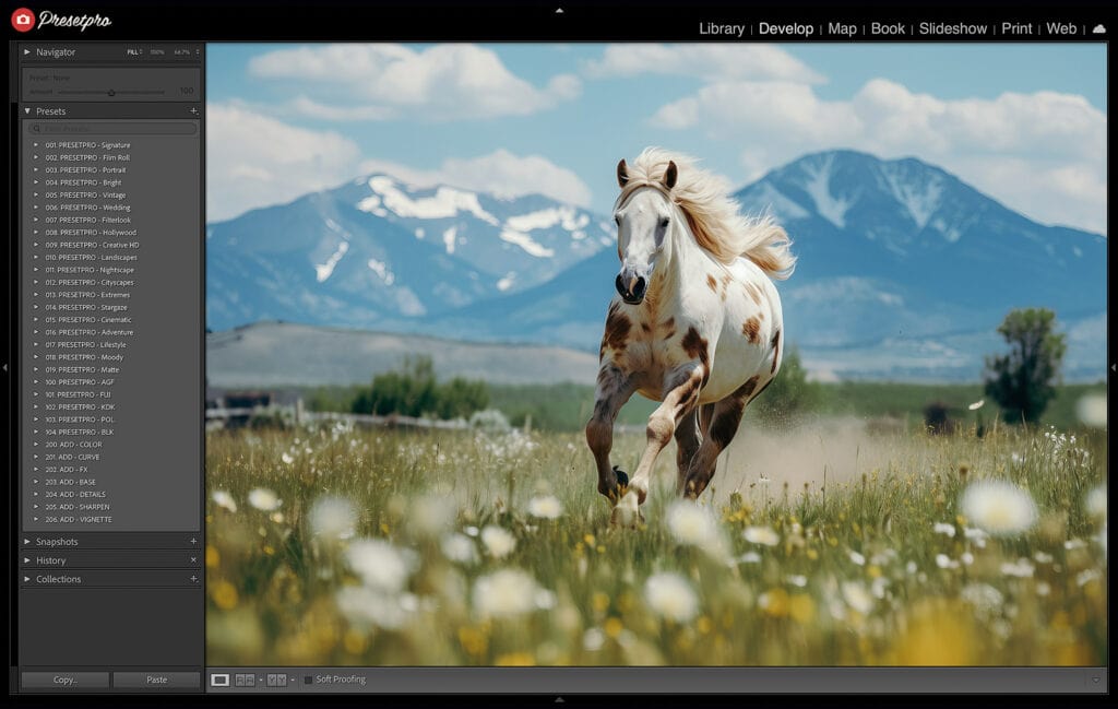 Agfa Portrait 160 Film Emulation preset applied to a photo of a horse running through a field in Lightroom