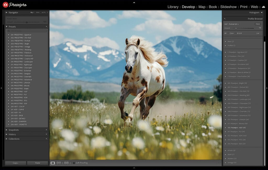 Edited photo of a horse running through a field with Agfa Portrait 160 Film Emulation preset in Lightroom