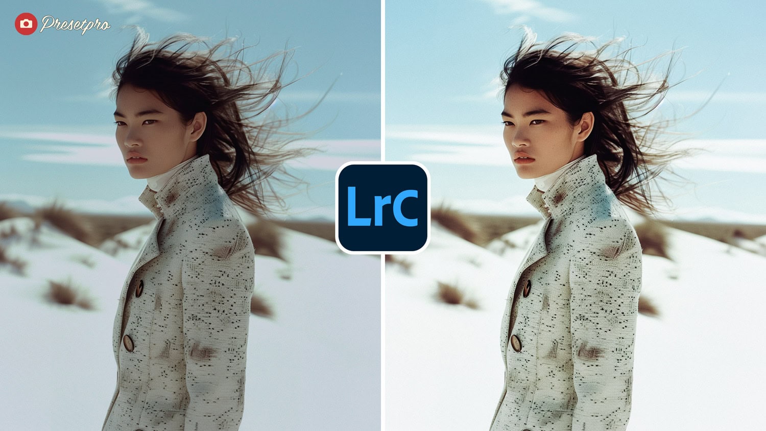 Free Lightroom Preset Film Look Before After Presetpro.com