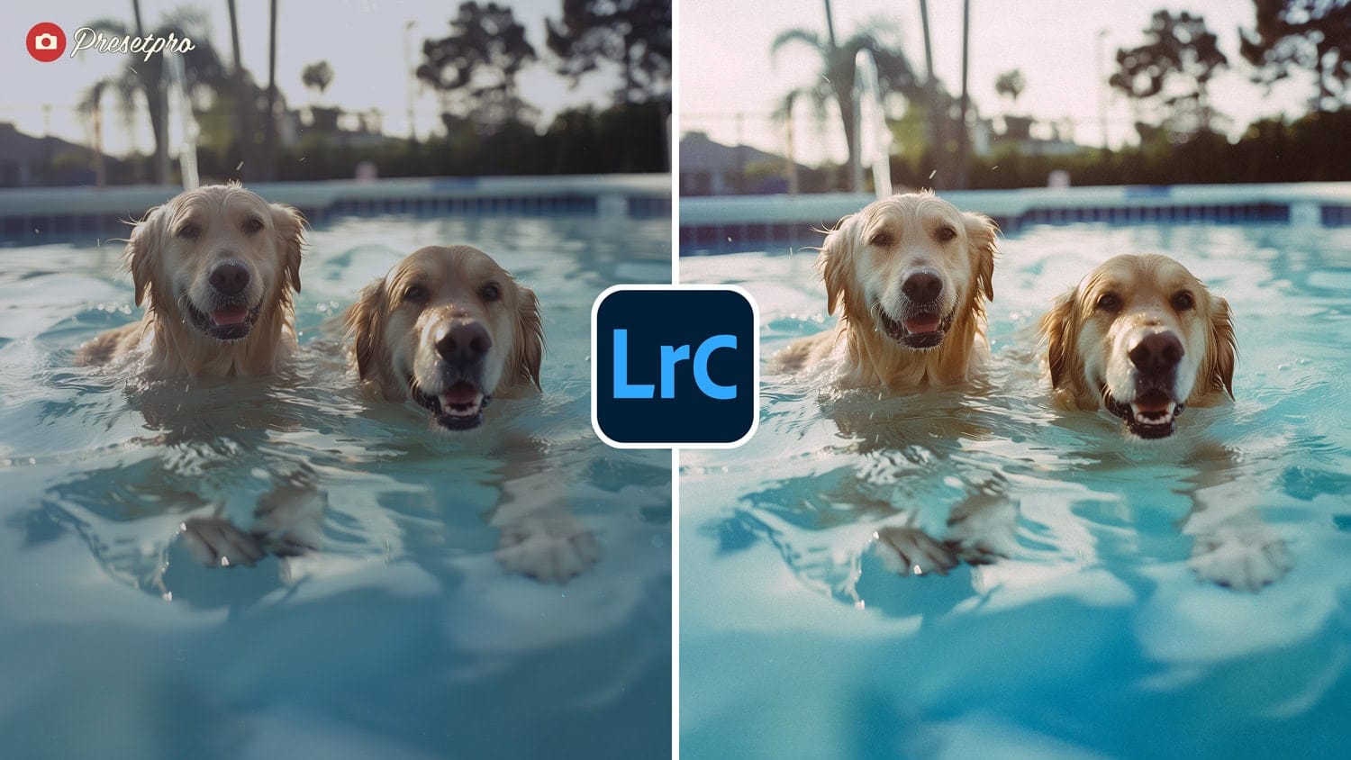 Free Lightroom Preset Film Simulation Before After Presetpro.com