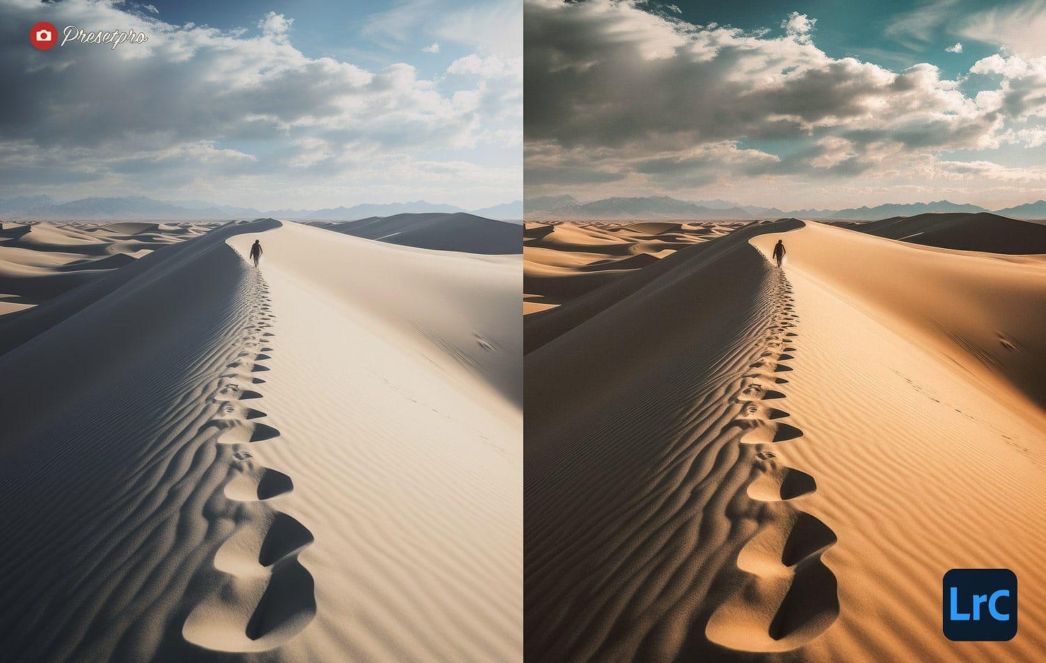 Free Lightroom Preset Perspective Before and After Presetpro.com