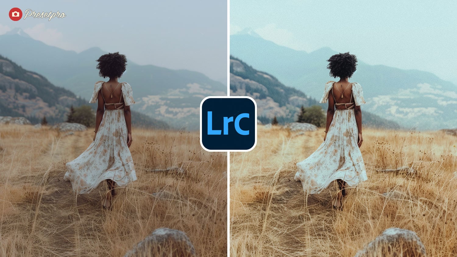 Free Lightroom Preset Vintage Grain Before After Presetpro.com