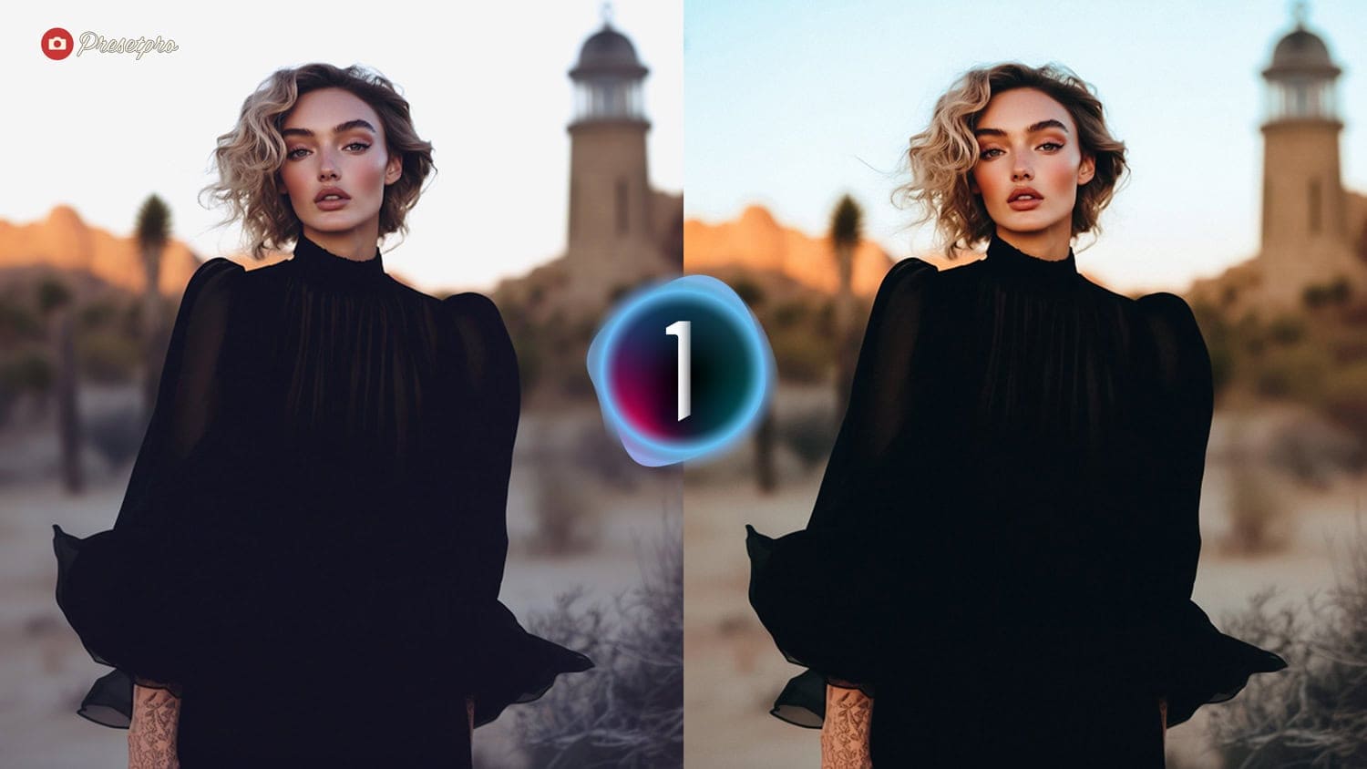 Free Capture One Style Chroma Grade Before and After Presetpro