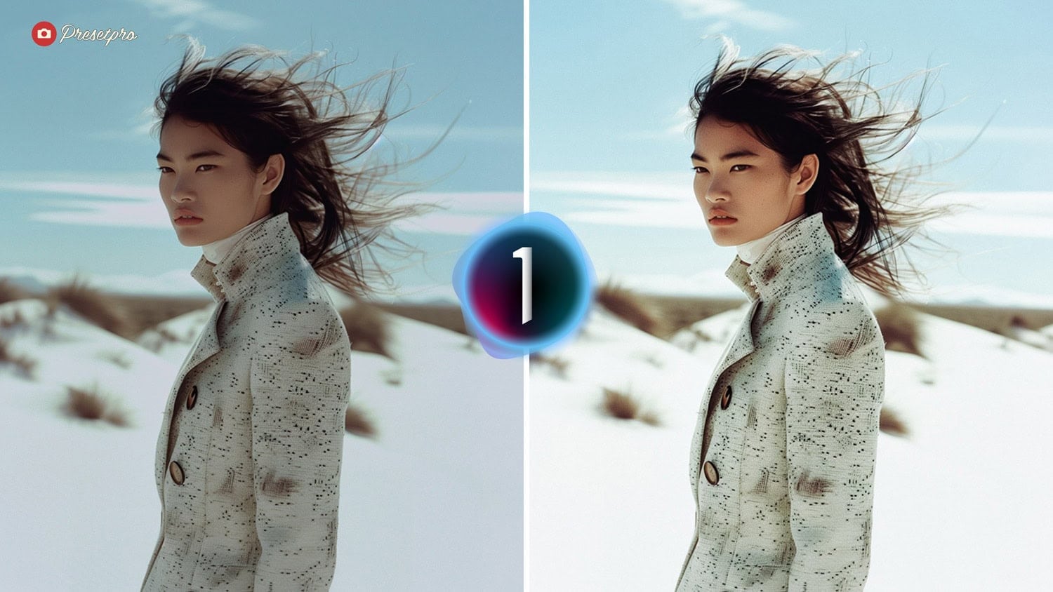 Free Capture One Style Film Look Before and After Presetpro.com